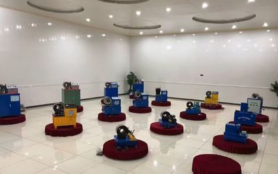 Chine Shanghai Fanying Machinery Technology Co., Ltd. Profil de l'entreprise